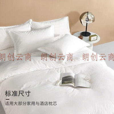 源生活 枕头套一对装 酒店60支纯棉枕套 纯色单人枕芯套  白色 48*74cm