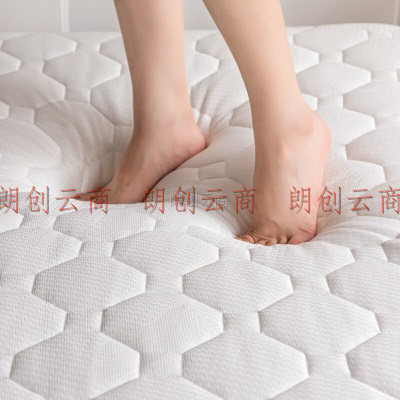南极人（Nanjiren）加厚针织榻榻米可折叠床垫子床褥子双人学生床垫被被褥  1.8米床