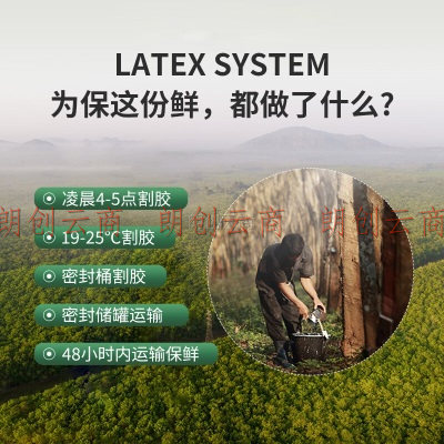 Latex Systems泰国乳胶床垫 93%含量榻榻米床褥子 双人1.8米2米7.5cm厚