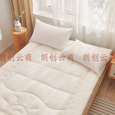 多喜爱 床垫床褥 A类大豆纤维单人学生榻榻米保护软垫子1.2床200*120cm