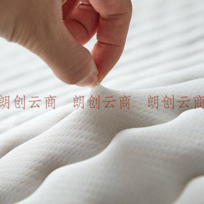 南极人床褥 立体加厚乳胶床垫褥子1.8米*2米双人记忆棉海绵榻榻米垫被