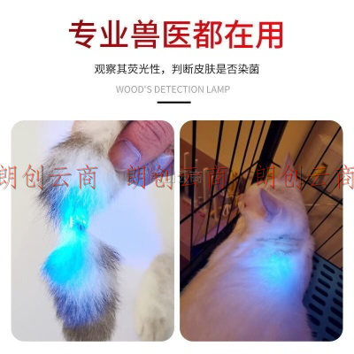 魔铁（MOTIE）伍德氏灯猫藓灯紫光灯紫外线365nm手电筒荧光检测真菌猫癣猫尿X2s