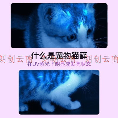 魔铁（MOTIE）伍德氏灯猫藓灯紫光灯紫外线365nm手电筒荧光检测真菌猫癣猫尿X2s