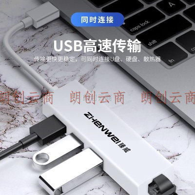 臻威（ZHENWEI）USB分线器转RJ45网口有线网卡 转接头USB2.0*3集线器hub延长器 笔记本台式机接U盘键鼠
