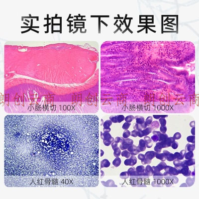 SwiftEdu SW380B显微镜专业双目学生光学科研养殖家用看细菌