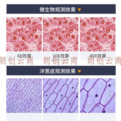 星微光学 生物显微镜专业 学生光学高倍2400X 儿童礼物实验仪器 水产养殖