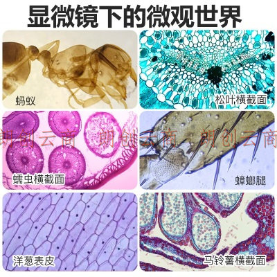 萨伽（SAGA）显微镜双目学生生物儿童科学实验套装美容养殖专业电子