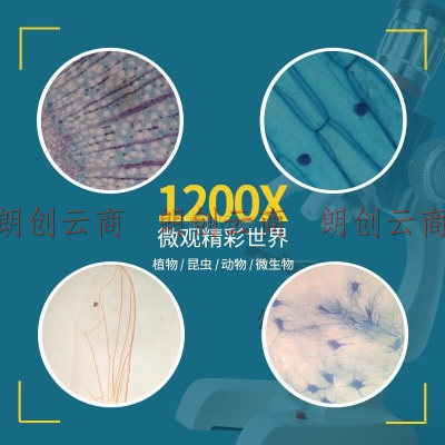 娃娃博士儿童台式显微镜学生1200倍专业生物光学高清显微镜套装实验仪器