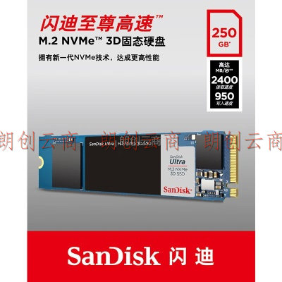 闪迪（SanDisk）250GB