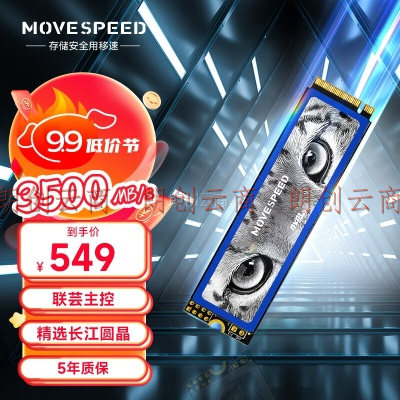 移速（MOVE SPEED) 2TB SSD固态硬盘 M.2接口(NVMe协议) 美洲豹系列 -长江存储晶圆