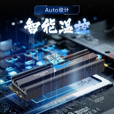 梵想（FANXIANG）1TB SSD固态硬盘 M.2接口NVMe协议PCIe 4.0 x4海力士颗粒