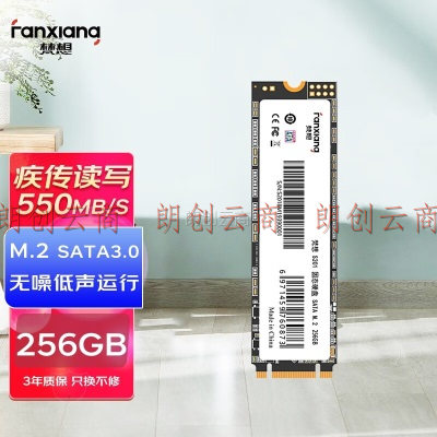 梵想（FANXIANG）256GB SSD固态硬盘