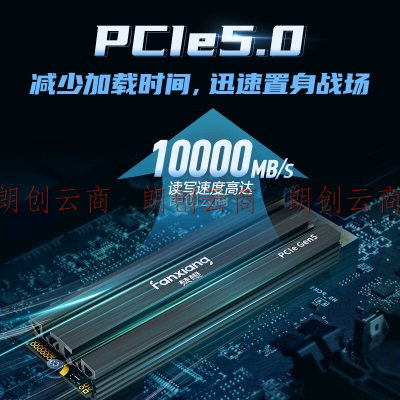 梵想（FANXIANG）1TB SSD固态硬盘 M.2接口NVMe协议 PCIe 5.0