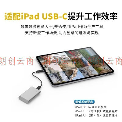 雷孜（lacie） 棱镜 移动固态硬盘 Type-C/USB3.1 Portable SSD套装版