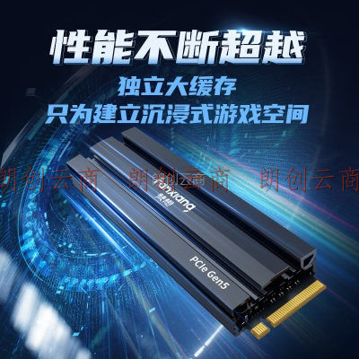 梵想（FANXIANG）1TB SSD固态硬盘 M.2接口NVMe协议 PCIe 5.0