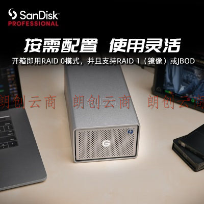 闪迪大师极锐 24TB 双盘位企业级桌面移动硬盘 G-RAID™ 2磁盘阵列 双雷电3接口 内置7200转