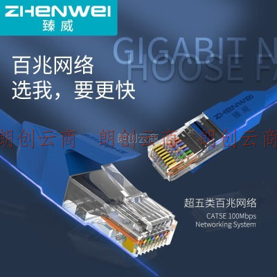 臻威（ZHENWEI）超五类网线 CAT5e类高速百兆网线