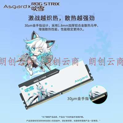 阿斯加特（Asgard）32GB(16GBx2)套 DDR5 6800 台式机内存 RGB灯条-吹雪联名款【CL34】