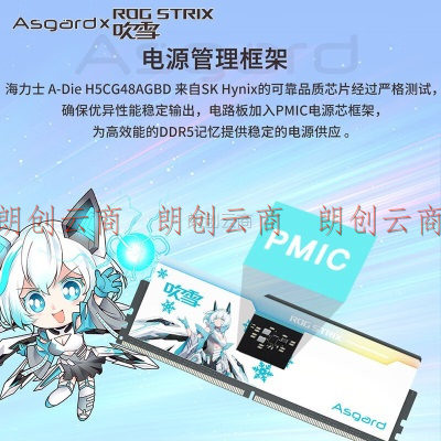 阿斯加特（Asgard）32GB(16GBx2)套 DDR5 6400 台式机内存 RGB灯条-吹雪联名款【CL32】