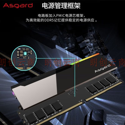 阿斯加特（Asgard）32GB(16Gx2)套 DDR5 6400 台式机内存条 镜面RGB灯条-博拉琪