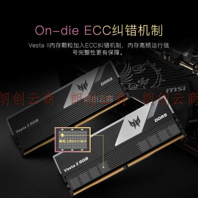宏碁掠夺者（PREDATOR）64G(32G×2)套装 DDR5 6000频率 台式机内存条 Vesta II 炫光星舰RGB灯条(C30) 星光银