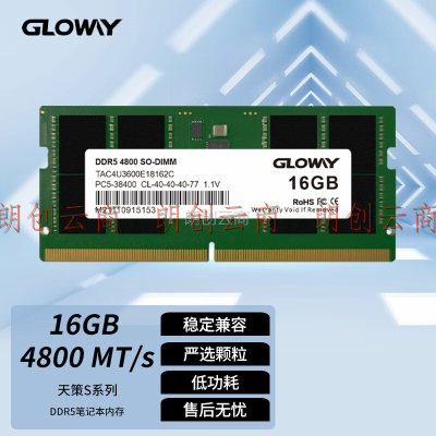 光威（Gloway）16GB DDR5 4800 笔记本内存条 天策S系列