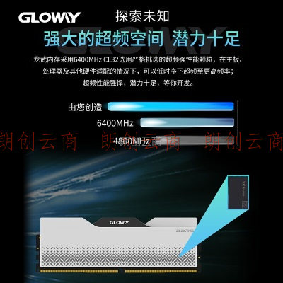 光威（Gloway）32GB(16GBx2)套装 DDR5 6400 台式机内存条 龙武系列 海力士M-die颗粒 CL32