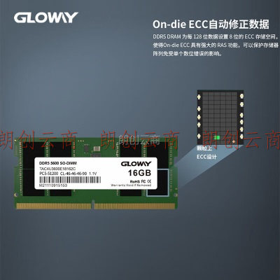 光威（Gloway）16GB DDR5 5600 笔记本内存条 天策S系列