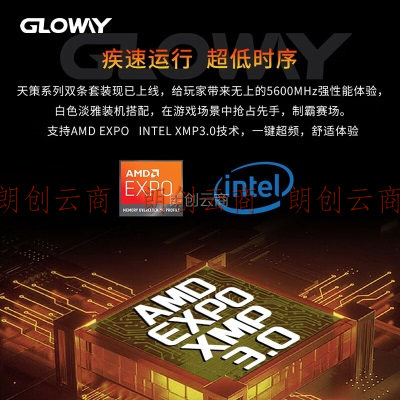 光威（Gloway）32GB(16GBx2)套装 DDR5 5600 台式机内存条 天策系列