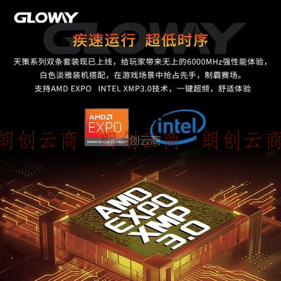 光威（Gloway）32GB(16GBx2)套装 DDR5 6000 台式机内存条 天策系列 海力士颗粒 CL36