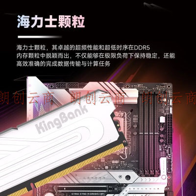 金百达（KINGBANK）64GB(32GBX2)套装 DDR5 6000 台式机内存条海力士颗粒银爵系列 C36
