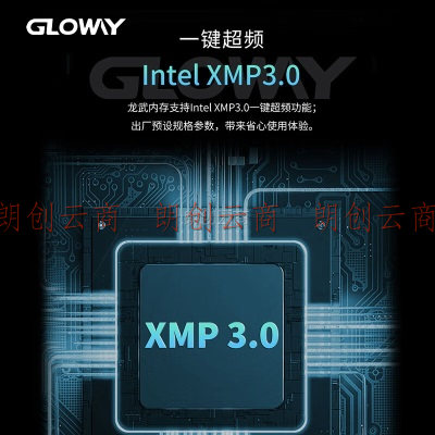 光威（Gloway）32GB(16GBx2)套装 DDR5 6800 台式机内存条 龙武系列 海力士A-die颗粒 CL34