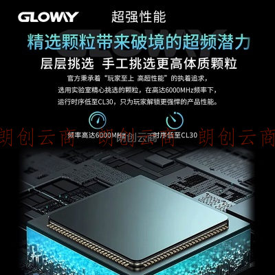光威（Gloway）32GB(16GBx2)套装 DDR5 6000 台式机内存条 龙武系列 海力士M-die颗粒 CL30