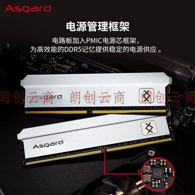 阿斯加特（Asgard）64GB(32Gx2)套装 DDR5 6000 台式机内存条 弗雷系列-钛银甲 CL30
