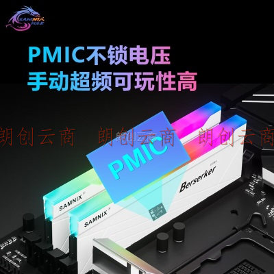 新乐士（SAMNIX）台式机内存条 48GB(24GBx2)DDR5 7200Mhz C36 白色 RGB灯条 海力士M-die 狂刃战士电竞游戏