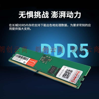 长城 (Great Wall) 16GB DDR5 4800MHz 台式机内存条