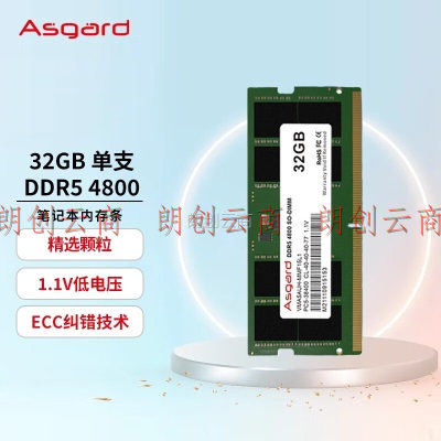 阿斯加特（Asgard）32GB DDR5 4800 笔记本内存条