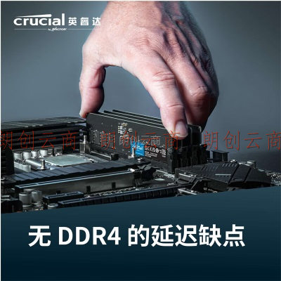 英睿达（Crucial）32GB（16GB×2）套装 DDR5 5200频率 台式机内存条 美光原厂颗粒
