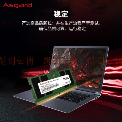 阿斯加特（Asgard）32GB DDR5 4800 笔记本内存条