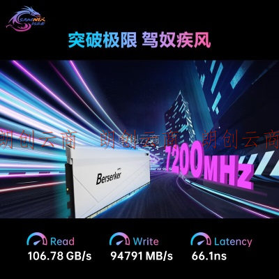 新乐士（SAMNIX）台式机内存条 64GB(32GBx2)DDR5 6400Mhz C32 白色 海力士A-die 狂刃战士电竞游戏