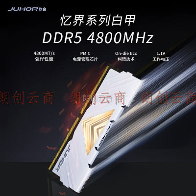 玖合(JUHOR) 16GB DDR5 4800 台式机内存条 忆界系列白甲