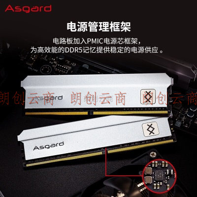 阿斯加特（Asgard）32GB(16Gx2)套装 DDR5 5200 台式机内存 弗雷系列-钛银甲