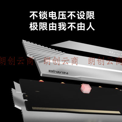 佰维（BIWIN）64G(32G×2)套装 DDR5 6000频率 台式机内存条  悟空 DX100炫光 RGB灯条(C30) 星光银