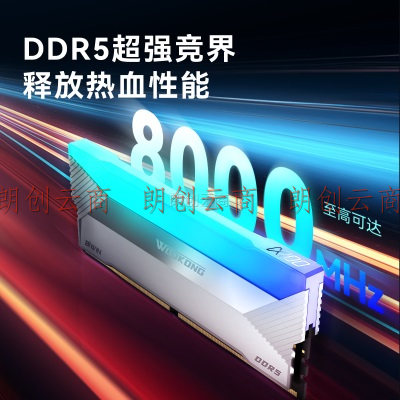 佰维（BIWIN）32G(16G×2)套装 DDR5 6800频率 台式机内存条 悟空 DX100炫光 RGB灯条(C34) 石耀黑