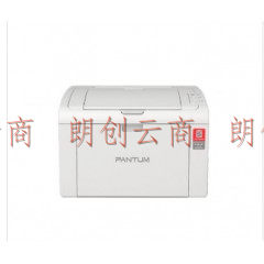 奔图/Pantum P2510 黑白激光打印机