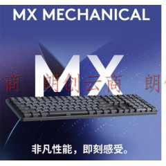罗技（Logitech）MX MECHANICAL无线蓝牙办公机械键盘双模 MAC键盘低噪迷你全尺寸 全尺寸 110键线性红轴