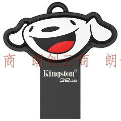 金士顿（Kingston）DTSE9G2 64GB U盘 个性化