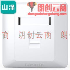 山泽（SAMZHE）电脑插座面板 网络电话面板加厚豪华型 网络信息单口 WAN-01