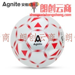安格耐特（Agnite） 成人比赛训练足球 室内外手帖高端足球 F1215