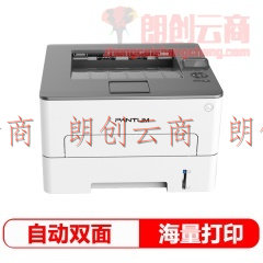 奔图（PANTUM）P3370DN黑白激光打印机（自动双面 A4打印 USB打印）